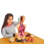 Анатомическая модель человека Edu-Toys сборная, 27 см (MK027): Материал пластик