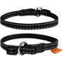 Ошейник Collar Dog Extremе 10 мм 20-30 см черный (4820082494254): Производитель Collar
