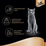 Влажный корм для котов Sheba CRAFT cig POU с говядиной в соусе 85 г (3065890138988): Тип Влажный корм