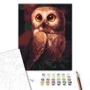 Картина по номерам Brushme Любознательная сова 40x50 см (BS51861): Производитель Brushme