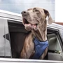 Шлей PetSafe Happy Ride Safety Harness для собак автомобільна чорно-синя XL (57855): Виробник PetSafe