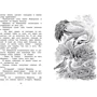 Виталий Бианки: Как Лис Ежа перехитрил: Количество страниц 128