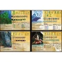 Настільна гра games7days Острів Духів (Spirit Island) фото 5