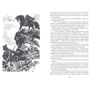 Майн Рид: Всадник без головы. Морской волчонок: Количество страниц 704