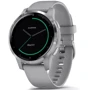 Смарт-часы Garmin Vivoactive 4S Silver Stainless Steel Bezel with Powder Gray Case and Silicone Band (010-02172-03/02)