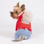 Костюм для собак Pet Fashion PRETTY S червоний: Розмір тваринного Середні