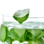 Одеяло IDEIA Aloe Vera всесезонное 140х210 см (8-13464): Наполнитель антиаллергенное волокно