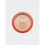 Bourjois Air Mat №01 Rose Ivore Пудра для лица компактная 10 g