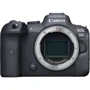 Canon EOS R6 Body (4082C044) UA