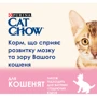 Сухой корм Cat Chow Kitten для котят с курицей 15кг (12251712): Основные ингредиенты Курица