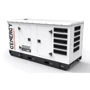 Дизельный генератор GENERGY GDS150T 123 кВт(240039090): Тип запуска комбинированный