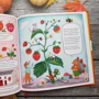 Наталія Волкова: Познайомся з кабачком!: ISBN 978-5-906994-04-2