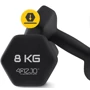 Гантель 4FIZJO Classic 2x8 кг (P-5905973403214): Вес гантели, кг 8
