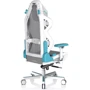 Кресло DXRacer Air PRO белое-бирюзовое (AIR-R1S-WQ.G-B3-NVF): Оснащение С колесиками, С крестовиной, Поясничный валик, Поясничный валик, Подголовник, Подлокотники, Механизм