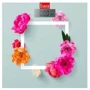 Весы напольные Erstech ЕFS-1802 Flowers