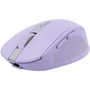 Мышь Trust Ozaa Compact Multi-Device Wireless Purple (25384): Интерфейс подключения Wireless, USB