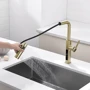 Смеситель для кухни Lefton Waterfall & Pull-Out Kitchen Faucet with Temperature Display-KF2209 Brushed Gold фото 12