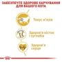 Сухой корм для котов Royal Canin British Shorthair пород британская короткошерстная 2 кг (2557020): Класс Супер премиум