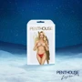 Подарочный набор Satisfyer Premium Advent Calendar 2025