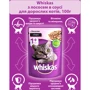 Влажный корм для котов Whiskas с лососем в соусе 100г (4770608239152): Класс Премиум