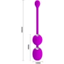 Вагинальные шарики с вибрацией Pretty Love Werner Kegel Ball