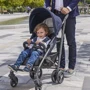 Прогулочная коляска Lite Way 3 Top Pied Poule (79599.35): Возможность установки люльки нет
