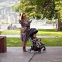 Коляска Chicco Goody Plus Stroller (79877.21) фото 14