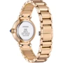 Наручные часы CITIZEN EM1063-89D (304333): Тип Женские