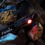 Фонарь туристический Fenix Scout с красным светом (HM23 V2.0) Лимитированная серия: Сертификат защищенности IP68