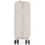 Валіза Semi Line 20" (S) Ercu (T5791-1): Фактура матова, Гладка