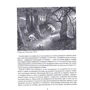 Анатолий Макаров: Киевский календарь. Том 3. Осень-Зима: Жанр Культурология