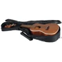 Чохол ROCKBAG RB20001B Student Ukulele Concerto: Тип Чохли