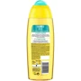 Fa Shower Gel Гель для душа Ритмы островов Hawaii Love Аромат ананаса и цветов франжипани 250 ml: Назначение Очищение