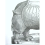 Блокнот: Albrecht Dürer: Производитель Ранок