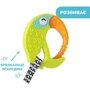 Прорезыватель для зубов Chicco "Тукан" (28160.30)