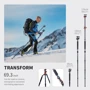 K&F Concept T255A3+BH-28L (KF09.112): Вес 1.69 кг