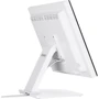 Монитор Iiyama ProLite T1932MSC-W1SAG: Стандарт VESA 100x100