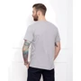 Футболка ISSA PLUS GN4-30 S сіра з принтом: Сезон Лето