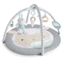 Развивающий коврик Ingenuity Sheppy's Spot Corrie (12470)