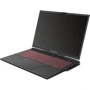Ноутбук Dream Machines RX4090-17 (RX4090-17UA28) UA: Тип экрана матовый