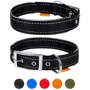 Ошейник Collar Dog Extremе нейлон двойной (ш 40мм, д 46-58см) со светоотражающей вставкой, черный