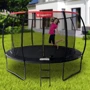 Батут inSPORTline із захисною сіткою та драбиною Flea PRO 430 см (23881): Виробник inSPORTline