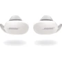 Наушники Bose QuietComfort Earbuds Soapstone (831262-0020): Тип конструкции вакуумные