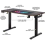 Стол Mealux PowerDesk Duo Antique c электрорегулировкой высоты (EVO-242 Duo Antique /B)