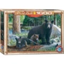 Пазл Eurographics Познавая мир, 1000 элементов (6000-0793)