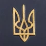 Щоденник Тризуб: Жанр Другое