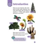 Oxford Read and Discover 4: All About Plants: Производитель Oxford University Press
