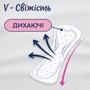 Libresse Daily Fresh Plus Normal Щоденні прокладки 32 шт.: Виробник Libresse