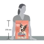 Сухой корм Dog Chow Active Adult 1+ для собак с повышенной активностью с курицей 2.5кг (12493230): Вес упаковки 2.5 кг
