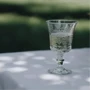 Бокал La Rochere Amboise 260 мл (L00605101): Количество в упаковке 1